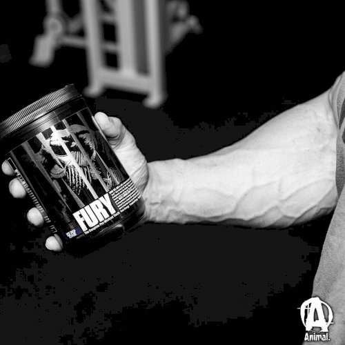 Animal Fury- MUSCLE BUILDER (IMPORTED USA)