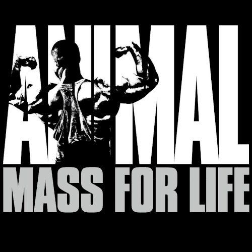 Animal Fury- MUSCLE BUILDER (IMPORTED USA)