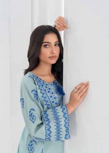 Ferozi Dream EMB 2PCS - Stylish Luxury Embroidered Two-Piece